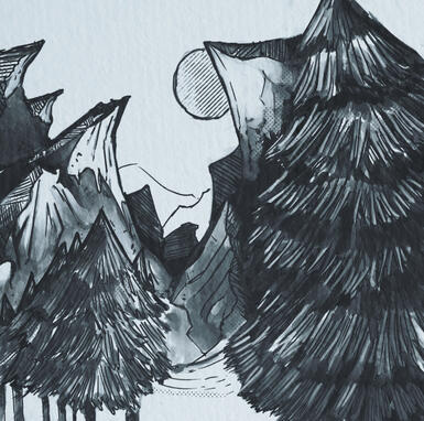 Landscape with pine trees and mountains.